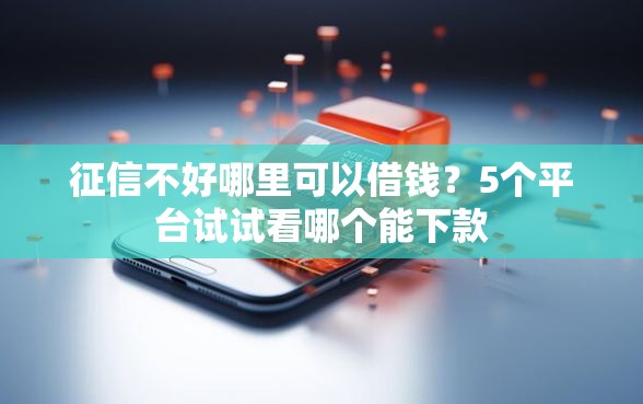 征信不好哪里可以借钱？5个平台试试看哪个能下款