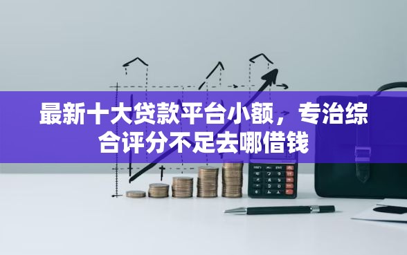 最新十大贷款平台小额，专治综合评分不足去哪借钱