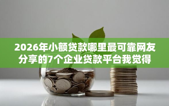 2026年小额贷款哪里最可靠网友分享的7个企业贷款平台我觉得不错！