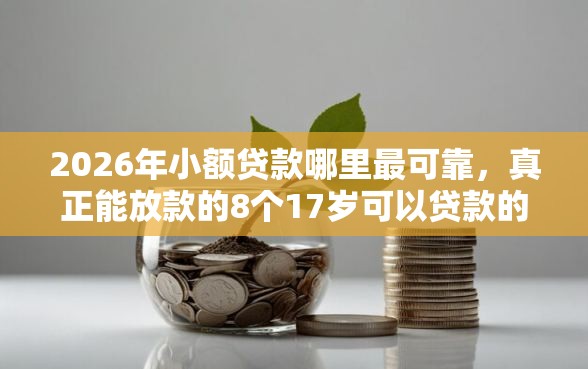 2026年小额贷款哪里最可靠，真正能放款的8个17岁可以贷款的平台推荐