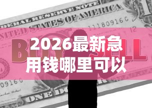 2026最新急用钱哪里可以快速借到，总结十个融资平台！