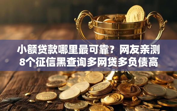 小额贷款哪里最可靠？网友亲测8个征信黑查询多网贷多负债高还能百分百下款的盘点