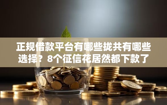 正规借款平台有哪些拢共有哪些选择?8个征信花居然都下款了的平台详解 正规借款平台有哪些拢共有哪些选择?8个征信花居然都下款了的平台详解