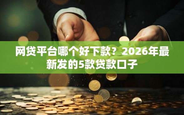 网贷平台哪个好下款？2026年最新发的5款贷款口子