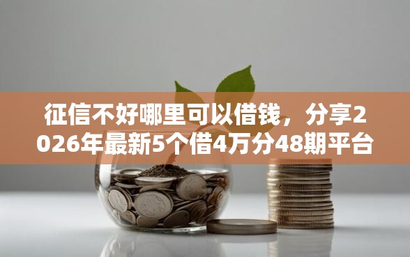 征信不好哪里可以借钱，分享2026年最新5个借4万分48期平台