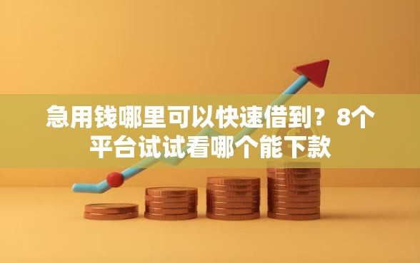 急用钱哪里可以快速借到？8个平台试试看哪个能下款