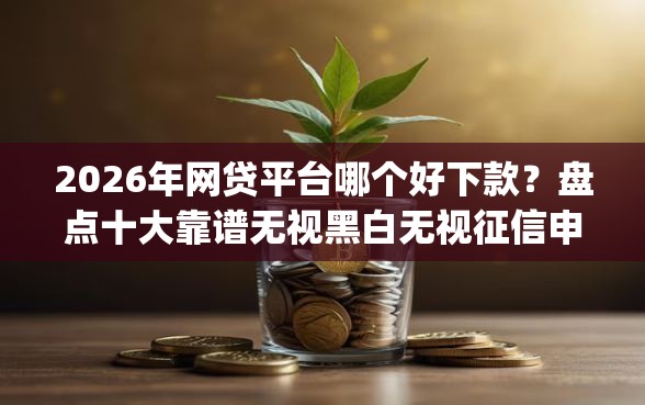 2026年网贷平台哪个好下款？盘点十大靠谱无视黑白无视征信申请就下款的app