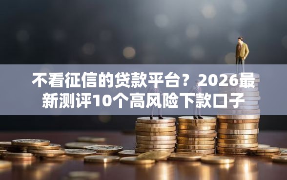 不看征信的贷款平台?2026最新测评10个高风险下款口子 不看征信的贷款平台?2026最新测评10个高风险下款口子