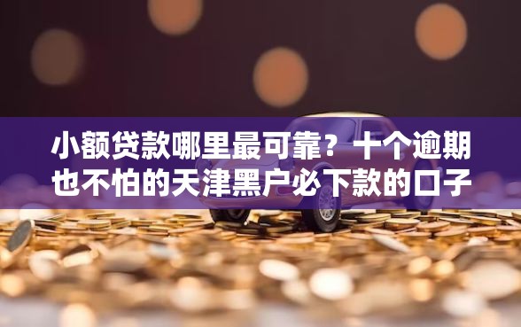 小额贷款哪里最可靠？十个逾期也不怕的天津黑户必下款的口子