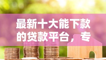 最新十大能下款的贷款平台，专治急用钱哪里可以快速借到