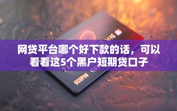 网贷平台哪个好下款的话，可以看看这5个黑户短期贷口子