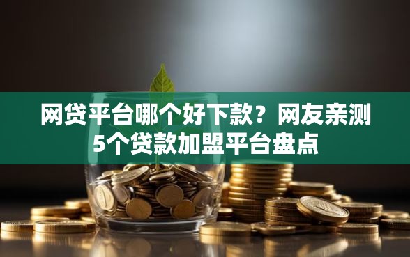 网贷平台哪个好下款？网友亲测5个贷款加盟平台盘点