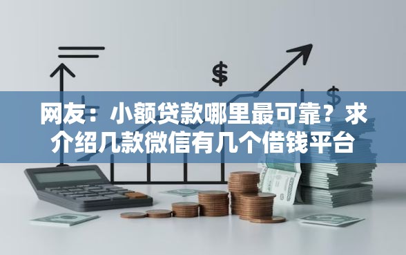 网友：小额贷款哪里最可靠？求介绍几款微信有几个借钱平台