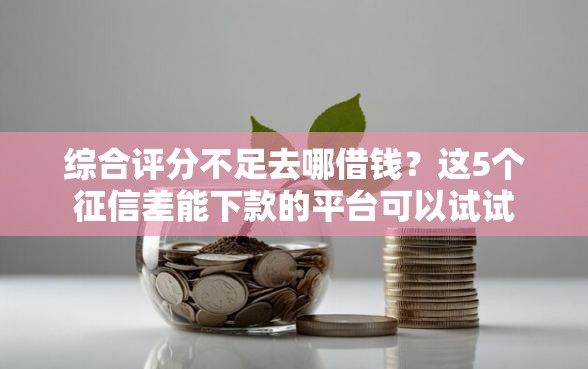 综合评分不足去哪借钱？这5个征信差能下款的平台可以试试