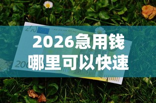 2026急用钱哪里可以快速借到，差4000元就选这7个平台