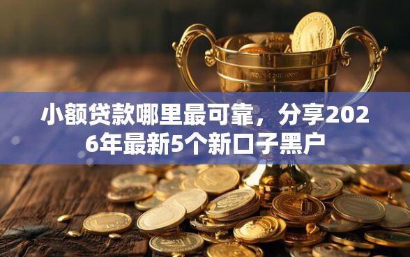 小额贷款哪里最可靠，分享2026年最新5个新口子黑户