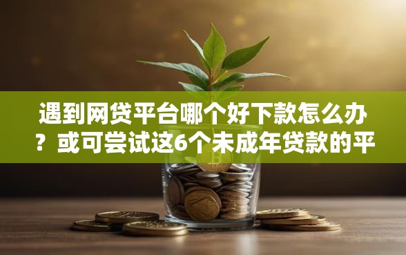 遇到网贷平台哪个好下款怎么办？或可尝试这6个未成年贷款的平台