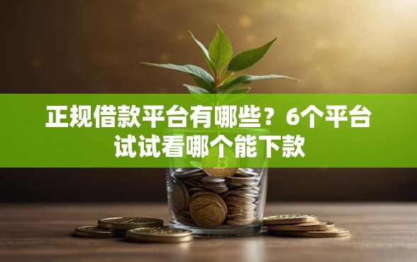 正规借款平台有哪些？6个平台试试看哪个能下款