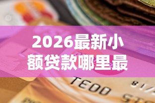 2026最新小额贷款哪里最可靠，总结十个有逾期能过的贷款平台！