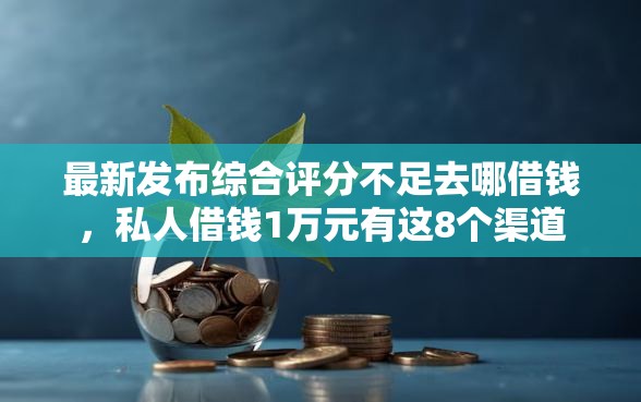 最新发布综合评分不足去哪借钱，私人借钱1万元有这8个渠道
