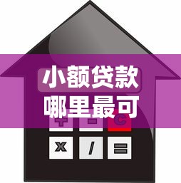 小额贷款哪里最可靠？2026最新测评10个借款平台不看征信负债