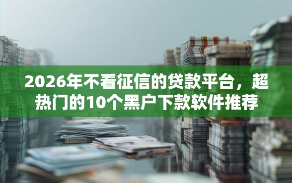 2026年不看征信的贷款平台，超热门的10个黑户下款软件推荐