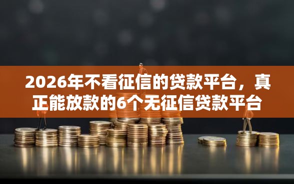 2026年不看征信的贷款平台，真正能放款的6个无征信贷款平台推荐