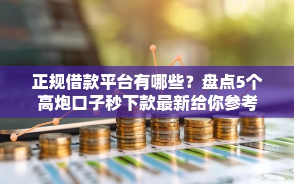 正规借款平台有哪些？盘点5个高炮口子秒下款最新给你参考