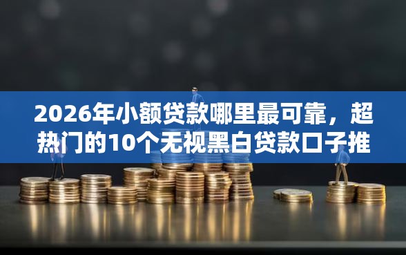 2026年小额贷款哪里最可靠，超热门的10个无视黑白贷款口子推荐