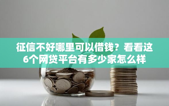 征信不好哪里可以借钱？看看这6个网贷平台有多少家怎么样