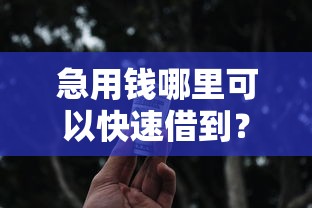 急用钱哪里可以快速借到？这10个有信用卡就能贷款的平台值得一试