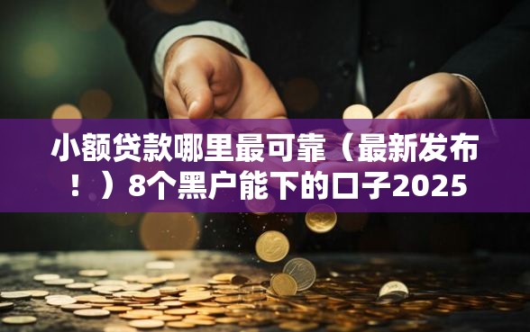 小额贷款哪里最可靠（最新发布！）8个黑户能下的口子2025