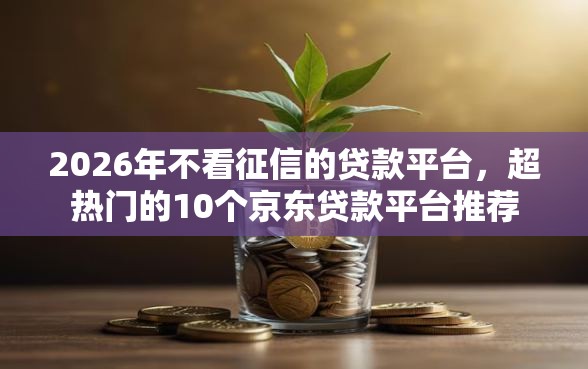 2026年不看征信的贷款平台，超热门的10个京东贷款平台推荐
