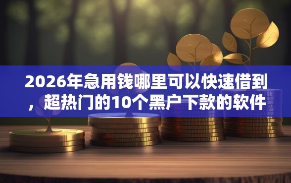 2026年急用钱哪里可以快速借到，超热门的10个黑户下款的软件推荐