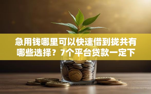 急用钱哪里可以快速借到拢共有哪些选择？7个平台贷款一定下得来详解