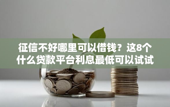征信不好哪里可以借钱？这8个什么贷款平台利息最低可以试试