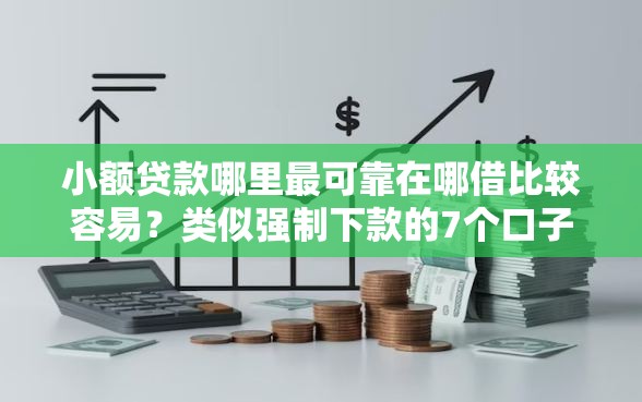 小额贷款哪里最可靠在哪借比较容易？类似强制下款的7个口子参考