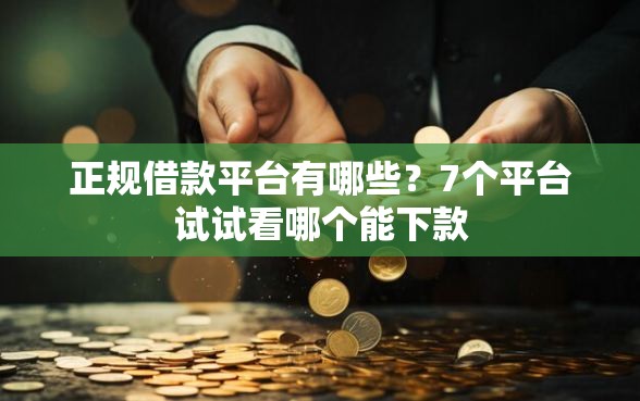 正规借款平台有哪些？7个平台试试看哪个能下款