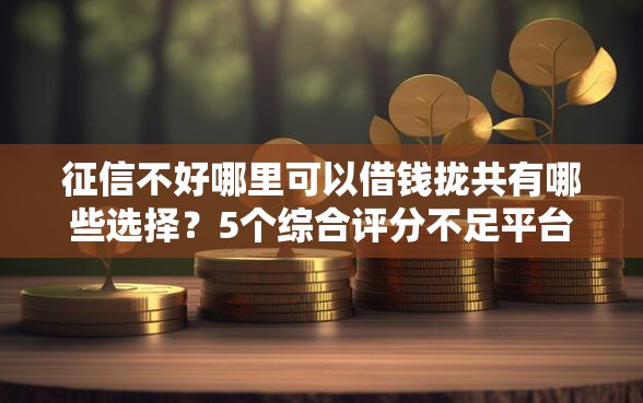 征信不好哪里可以借钱拢共有哪些选择？5个综合评分不足平台能下款详解