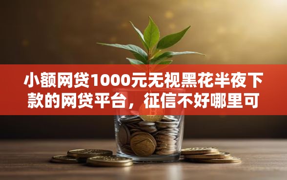 小额网贷1000元无视黑花半夜下款的网贷平台，征信不好哪里可以借钱的5个平台介绍