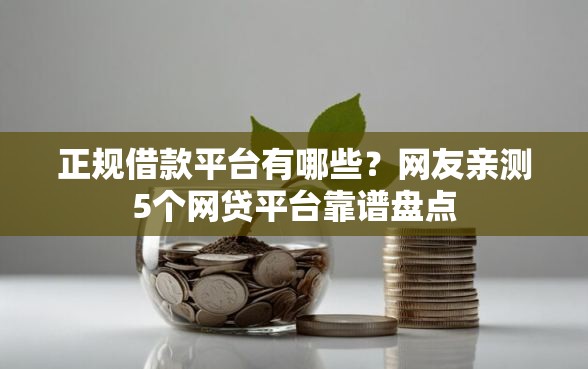 正规借款平台有哪些？网友亲测5个网贷平台靠谱盘点