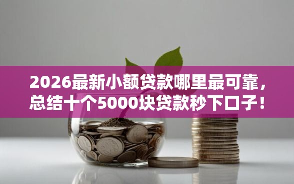 2026最新小额贷款哪里最可靠，总结十个5000块贷款秒下口子！