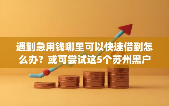 遇到急用钱哪里可以快速借到怎么办？或可尝试这5个苏州黑户贷款5万的app