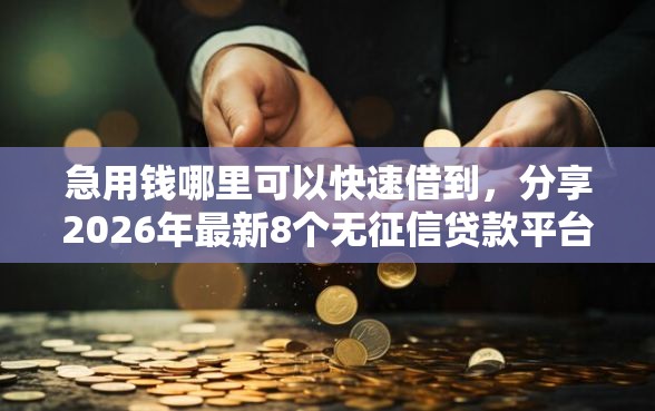 急用钱哪里可以快速借到，分享2026年最新8个无征信贷款平台