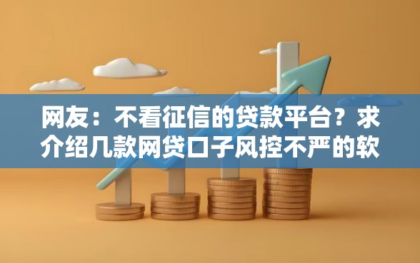 网友：不看征信的贷款平台？求介绍几款网贷口子风控不严的软件