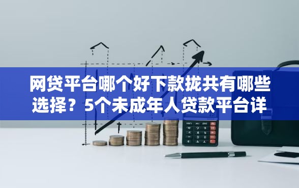 网贷平台哪个好下款拢共有哪些选择？5个未成年人贷款平台详解