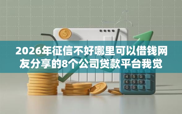 2026年征信不好哪里可以借钱网友分享的8个公司贷款平台我觉得不错！