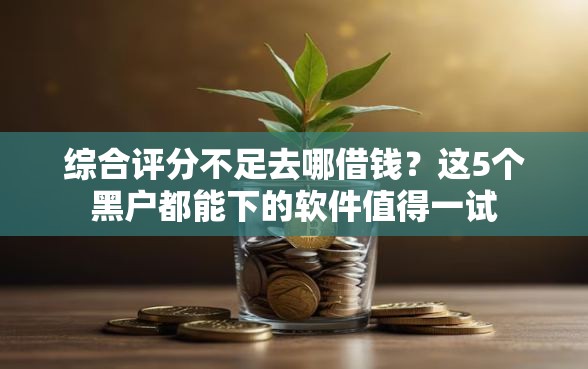 综合评分不足去哪借钱？这5个黑户都能下的软件值得一试
