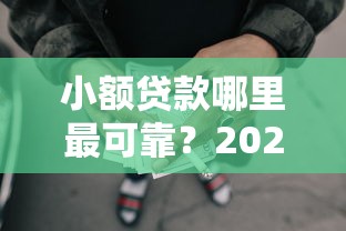 小额贷款哪里最可靠？2026最新测评10个网贷黑户必过软件