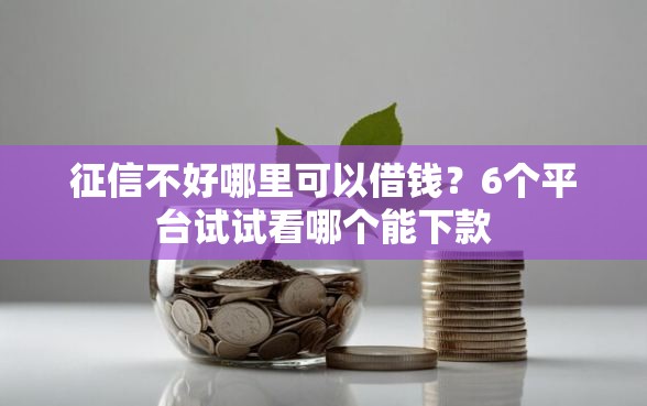 征信不好哪里可以借钱？6个平台试试看哪个能下款